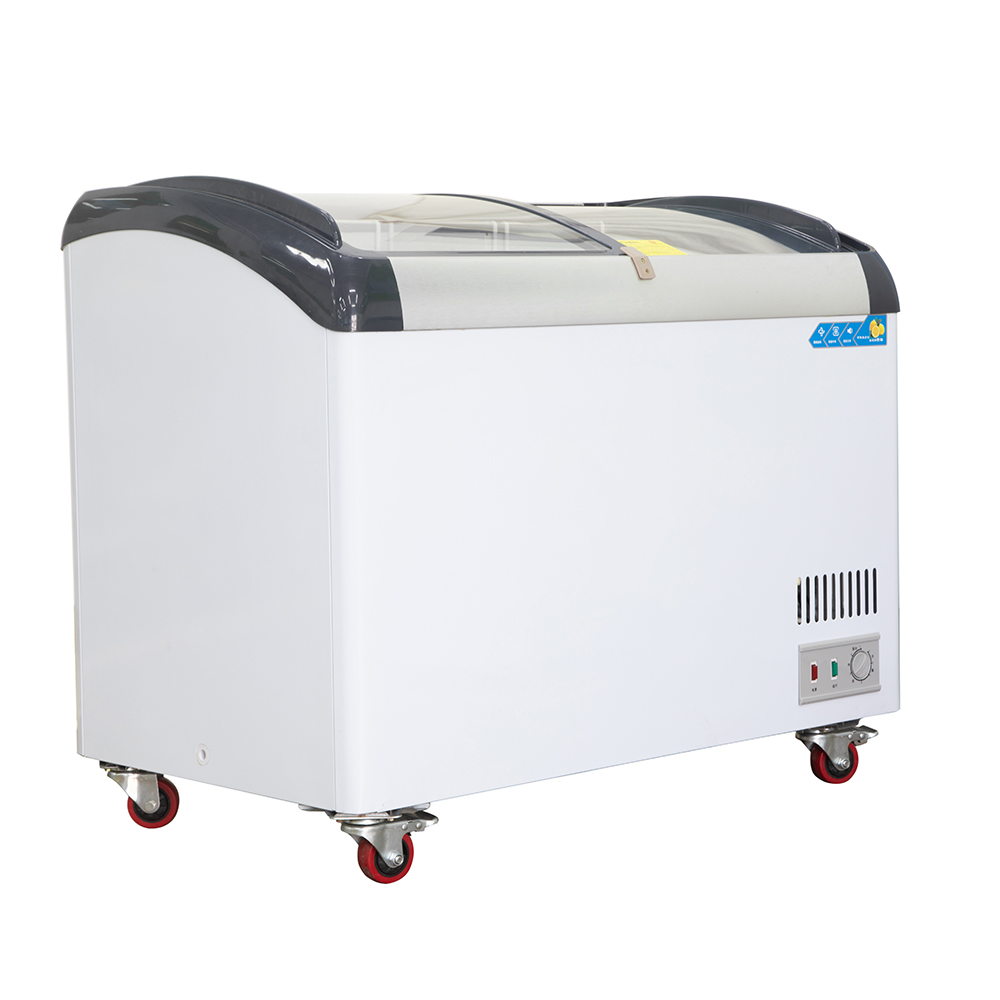 Commercial Chest Freezer - Congélateur commercial à porte coulissante en