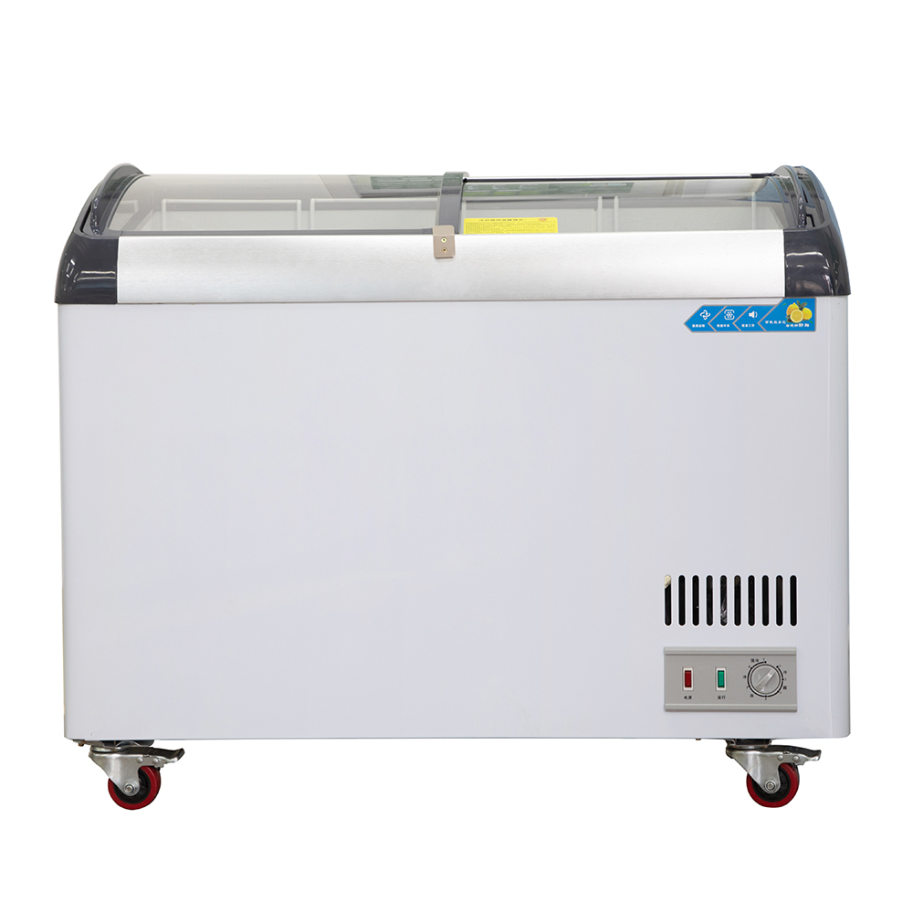 Congélateur commercial à porte - Commercial Chest Freezer avis et prix