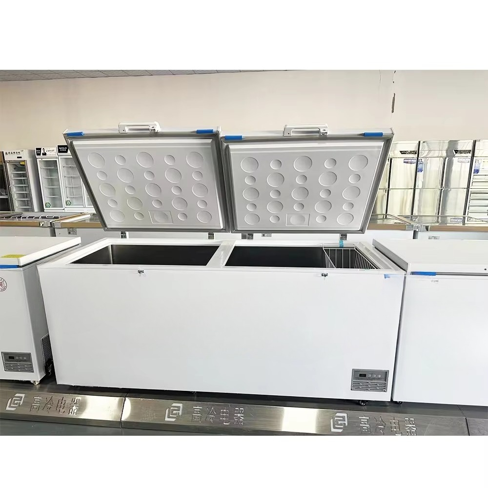 Congélateur coffre Commercial  - Commercial Chest Freezer avis et prix