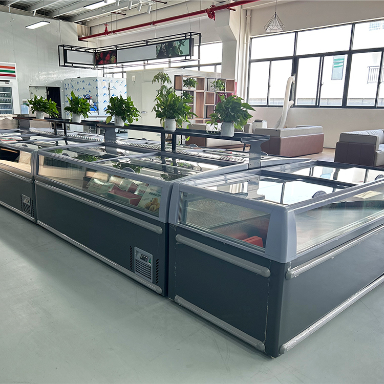 Congélateur coffre commercial  - Commercial Chest Freezer avis et prix
