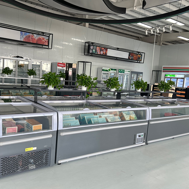 Congélateur coffre commercial  - Commercial Chest Freezer avis et prix