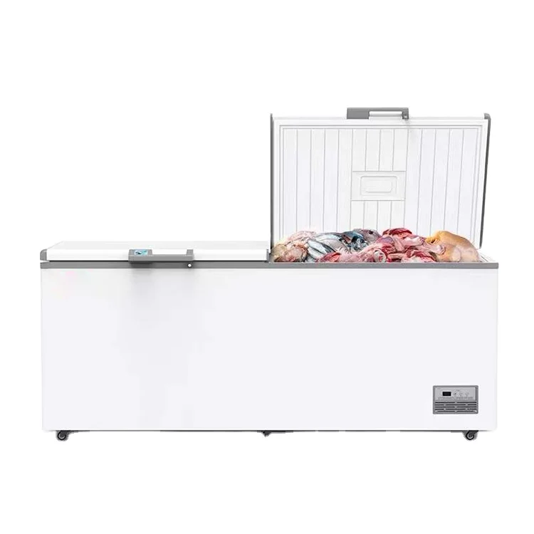 # Congélateurs commerciaux con - Commercial Chest Freezer avis et prix