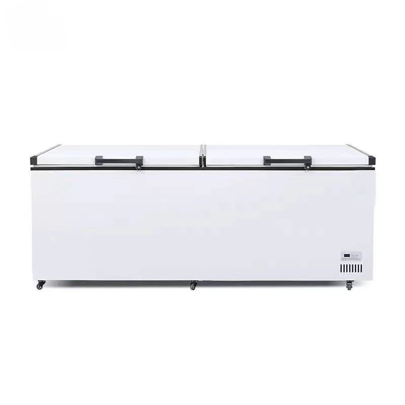 # Congélateurs commerciaux con - Commercial Chest Freezer avis et prix