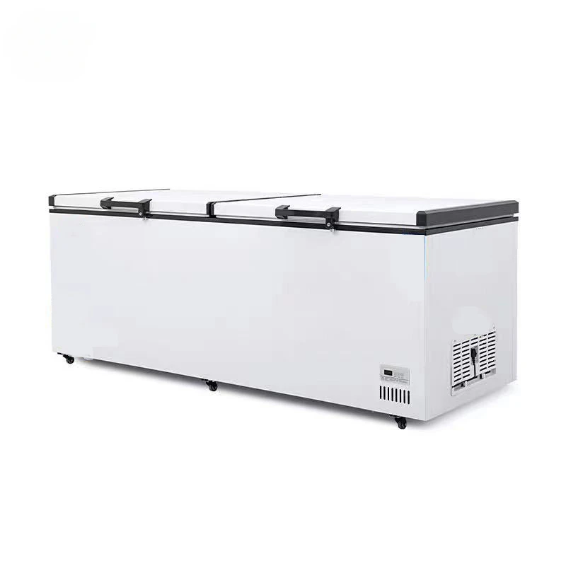 # Congélateurs commerciaux con - Commercial Chest Freezer avis et prix