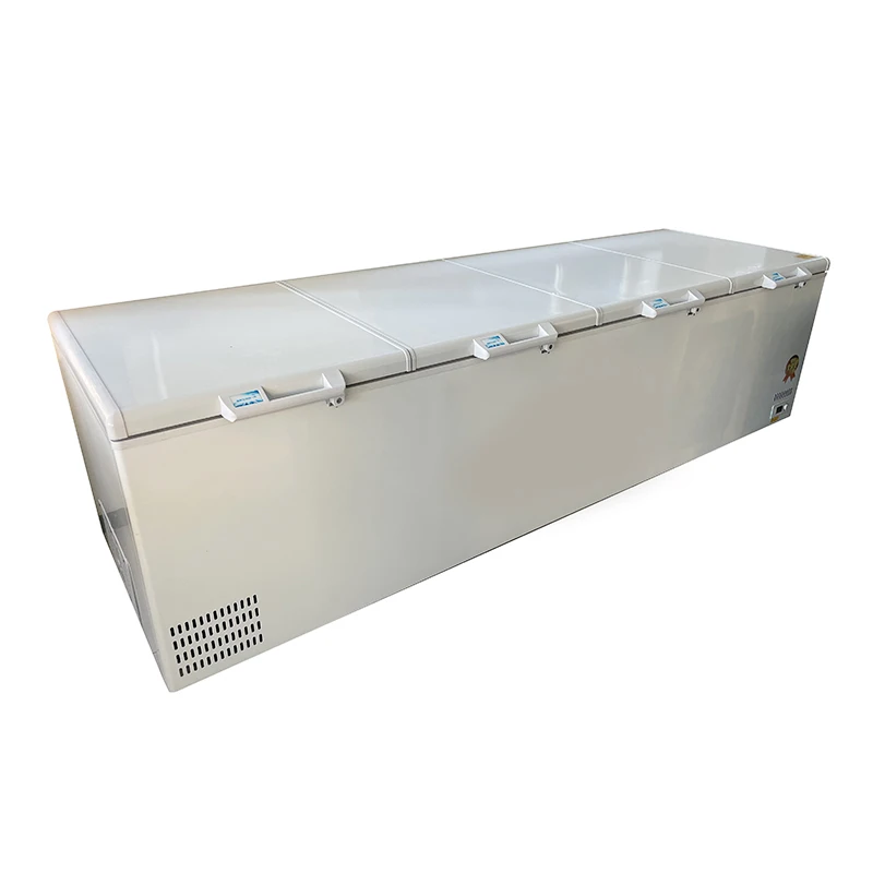 # Grande congélateur commercia - Commercial Chest Freezer avis et prix
