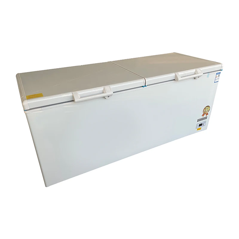# Grande congélateur commercia - Commercial Chest Freezer avis et prix