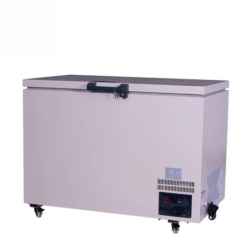 268L -60 ℃   Congélateur coffr - Commercial Chest Freezer avis et prix