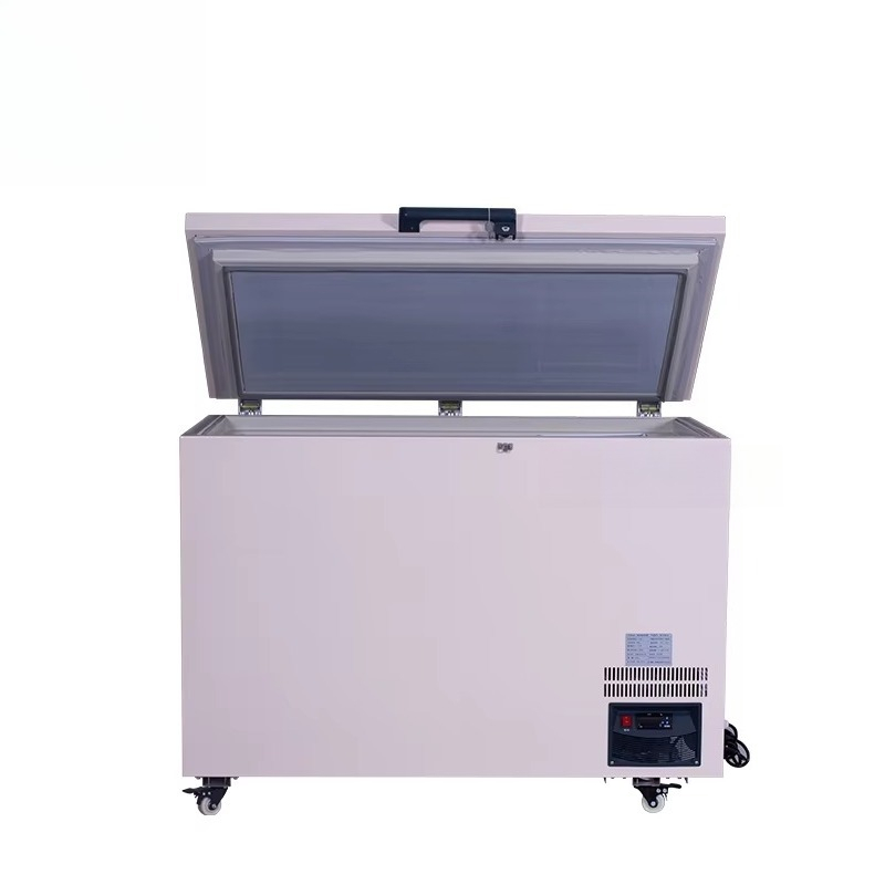 268L -60 ℃   Congélateur coffr - Commercial Chest Freezer avis et prix
