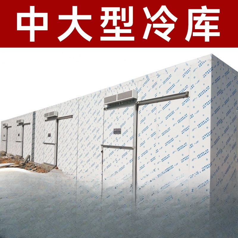 Un ensemble complet d'équipeme - Commercial Chest Freezer avis et prix